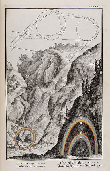 File:Rainbows from Scheuchzer's Physica Sacra (1731).jpg