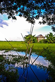 Raipura Upazila Upazila in Dhaka Division, Bangladesh