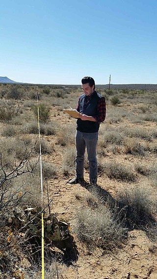 <span class="mw-page-title-main">Rangeland management</span>