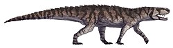 Rauisuchus tiradentes.jpg 