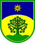 Wappen von Rečica ob Savinji