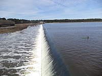 Reed Bingham Lake and dam