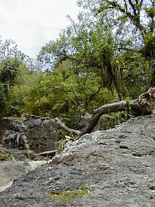 Argyle Waterfall