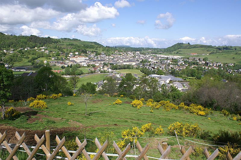 File:Riom-ès-Montagnes-vue générale.JPG