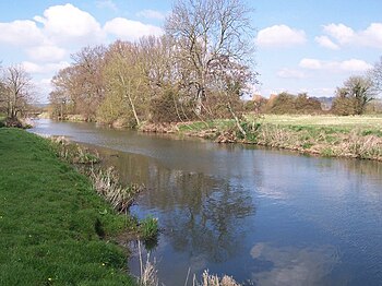 The River Beult north-east of Paddock Wood River Beult - geograph.org.uk - 1231494.jpg