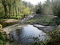 Thumbnail for File:River Cover swimming hole - geograph.org.uk - 4458727.jpg