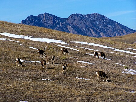 Rocky Flats NWR