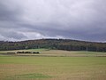 Ansicht des Rödeser Berges von Niederelsungen aus.