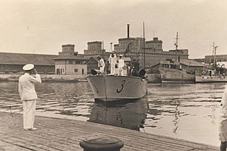 NMS <i>Viscolul</i> Torpedo boat