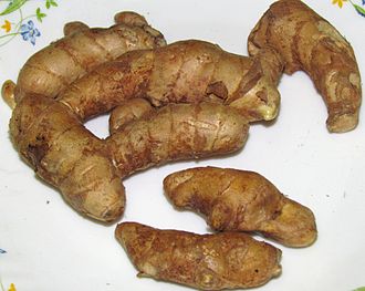 330px-Roots_of_Curcuma_amada_3.JPG