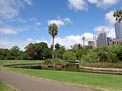 Le Royal Botanic Garden à Sydney - Étape 12