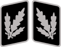 Brigadefiureris (nuo 1942 m.)