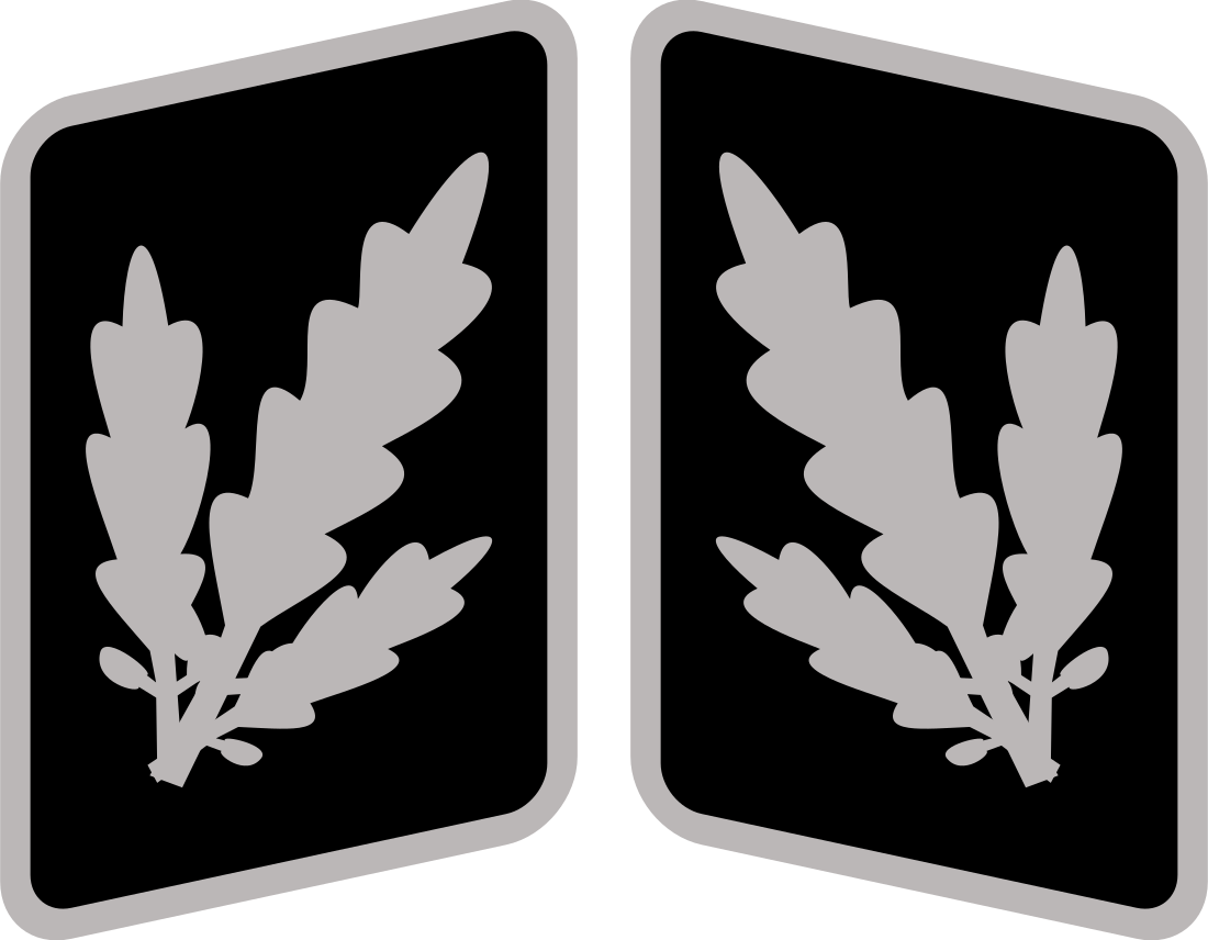 File:SS-Brigadeführer Collar Rank.svg