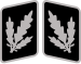 SS-Brigadeführer Collar Rank.svg