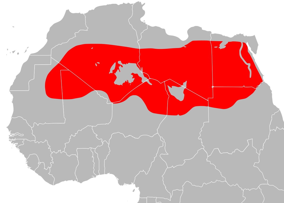 sahara desert in africa map