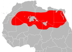 Сахара ecoregion.svg