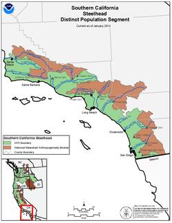 Southern California Steelhead DPS Boundary Map Sc steelhead.pdf