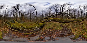 Schwerter Wald 360° Ansicht