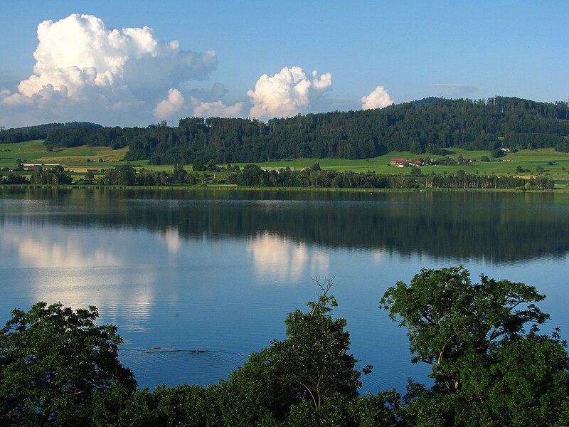 File:Seegräben - Pfäffikersee IMG 3646.jpg