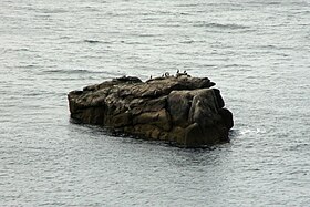 Utsikt over Seghy Island 12. august 2009.