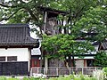 専福寺の大ケヤキ 中国語版Wikipedia 福井縣