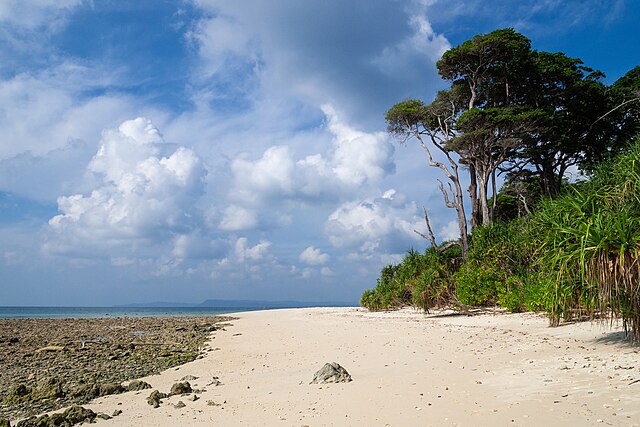 Image: Shaheed Island, Andaman Islands, Tropical beach