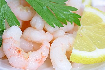 Shelled northern shrimp.jpg