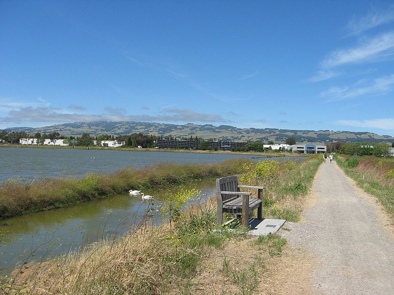 File:Shollenberger Park, Petaluma, California - panoramio.jpg