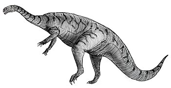 Dinosaure †Plateosaurus 1837
