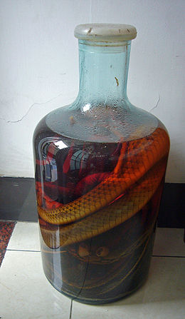 Vino de serpiente