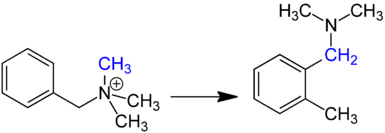 Reaction scheme for the Sommelet-Hauser rearrangement