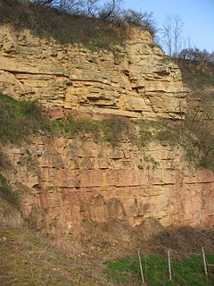 Grès à Voltzia Geologic formation in France