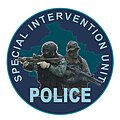 Special Intervention Unit Patch