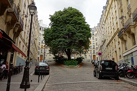 Square Bolivar.