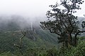 Sri Lanka, Slopes of misty Sri Pada mountain.jpg