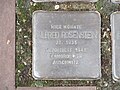 der Stolperstein für Alfred Rosenstein vor dem Haus Josef-Kohlschein-Straße 30 in Warburg