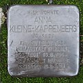 image=File:Stolperstein Anna Kleine-Kappenberg Rottmannstraße 111 Ahlen.nnw.jpg