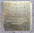 wikimedia_commons=File:Stolperstein Lüneburg Auf dem Schmaarkamp 21 Frieda Rose.jpg