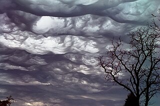 [Image: 320px-Stratocumulus_stratiformis_opacus_...eritas.jpg]