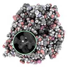 Structure validation concept: model of a protein (each ball is an atom), and magnified region with electron density data and 3 bright flags for problems Structure validation concept.jpg