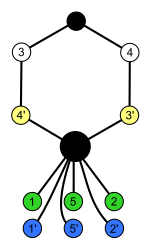 Oh alt grubu; Dih6 03; döngüsü graph.svg