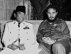 List Of Awards And Honours Bestowed Upon Fidel Castro