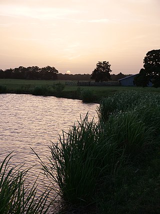 <span class="mw-page-title-main">Warda, Texas</span> Unincorporated community in Texas, US