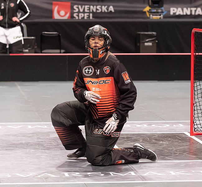 File:Swedish Super Leauge Women Final 2019 31.jpg