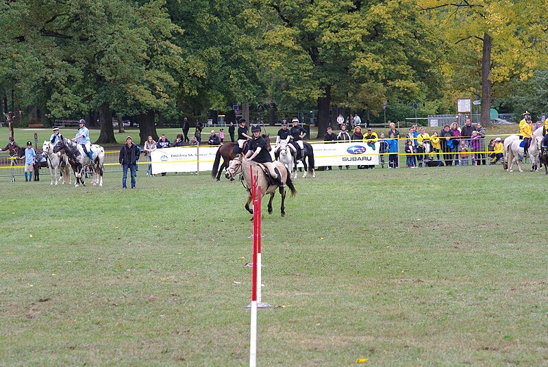 File:Swiss Pony Games 2011 - Finals - 002.JPG