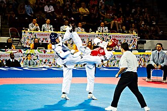 During the competition Taekwondo at the 2015 Pan American Games.jpg