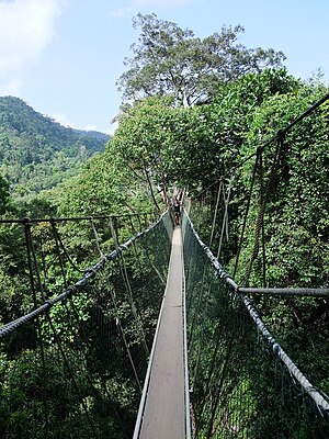 Parcul Național Taman Negara: Geografie, Diversitatea biologică, Transportul