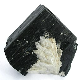 Tantalite- (Fe) -236459.jpg