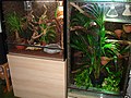 Miniatura para Terrario