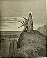 "The_Bible_panorama,_or_The_Holy_Scriptures_in_picture_and_story_(1891)_(14784654082).jpg" by User:Fæ